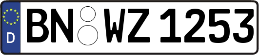 BN-WZ1253