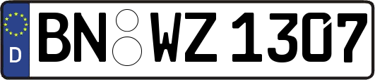 BN-WZ1307