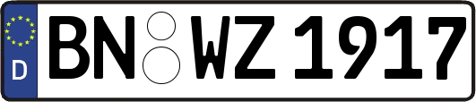 BN-WZ1917