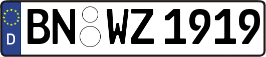BN-WZ1919