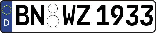 BN-WZ1933