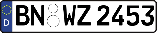 BN-WZ2453