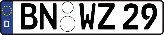 BN-WZ29
