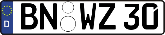 BN-WZ30