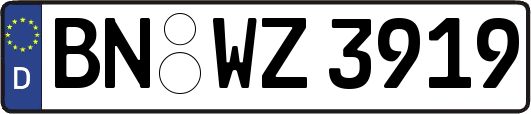 BN-WZ3919