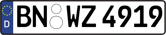 BN-WZ4919