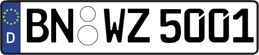 BN-WZ5001