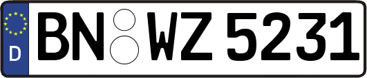 BN-WZ5231