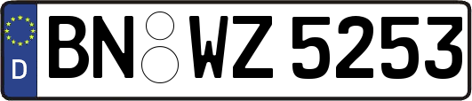 BN-WZ5253