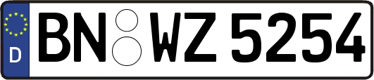 BN-WZ5254