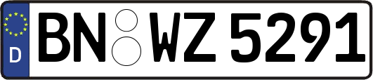 BN-WZ5291
