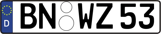 BN-WZ53