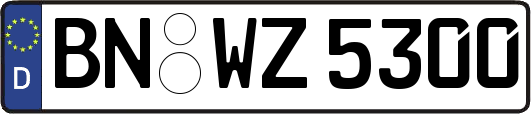 BN-WZ5300
