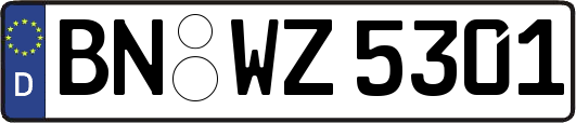 BN-WZ5301