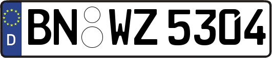 BN-WZ5304