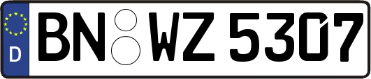 BN-WZ5307