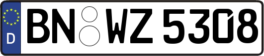 BN-WZ5308