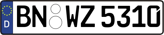 BN-WZ5310
