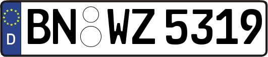 BN-WZ5319