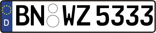 BN-WZ5333