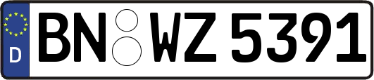 BN-WZ5391