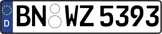 BN-WZ5393