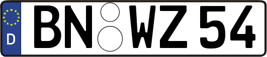 BN-WZ54