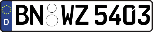 BN-WZ5403