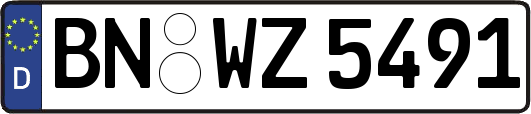 BN-WZ5491