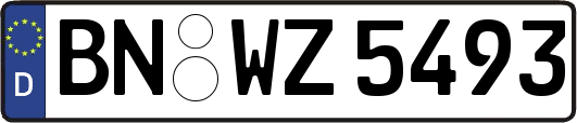 BN-WZ5493