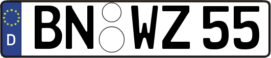 BN-WZ55