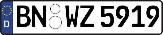 BN-WZ5919