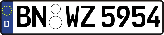 BN-WZ5954