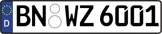 BN-WZ6001