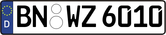 BN-WZ6010