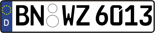 BN-WZ6013