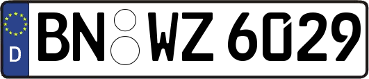 BN-WZ6029