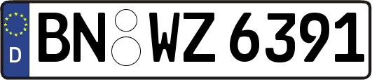 BN-WZ6391