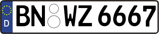 BN-WZ6667