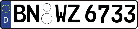 BN-WZ6733