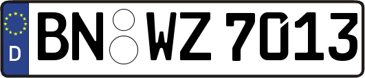 BN-WZ7013