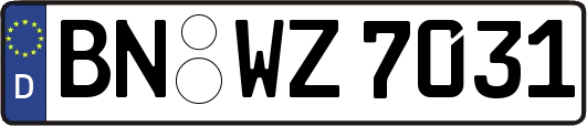 BN-WZ7031