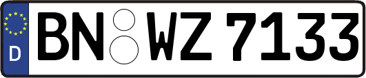 BN-WZ7133