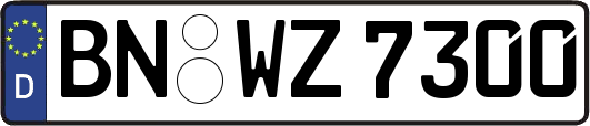 BN-WZ7300