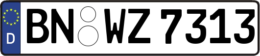 BN-WZ7313