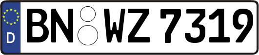 BN-WZ7319