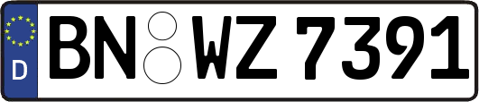 BN-WZ7391