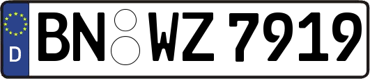 BN-WZ7919