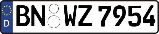 BN-WZ7954