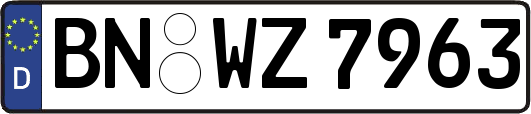 BN-WZ7963